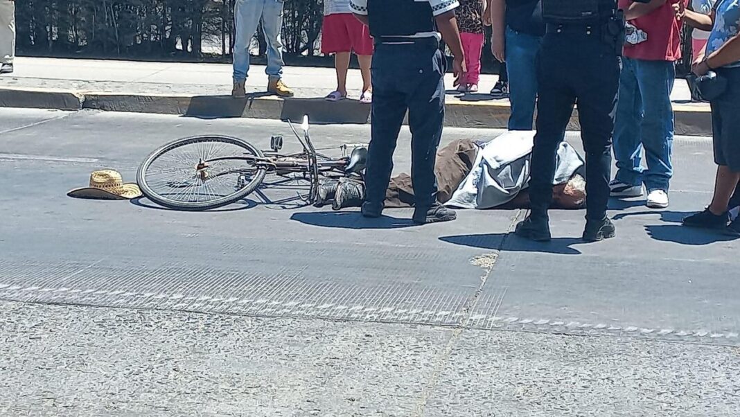 Imagen de WhatsApp 2024-04-10 a las 18.16.13_338bca10