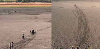 RESCATAN A DOS MENORES; SE ATORARON EN FANGO DE PRESA DEL PALOTE