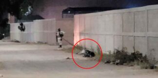 ENCUENTRAN DOS CUERPOS EN LA COLONIA LAS AMÉRICAS