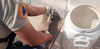 ENCUENTRAN SERPIENTE EN CASA DE HÉROES DE LEÓN
