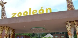 RECOMIENDA ALCALDE CELEBRAR A LOS PAPÁS EN PARQUES PÚBLICOS DE LEÓN
