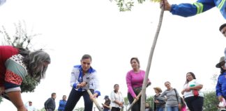 AVANZA ESTRATEGIA “YO QUIERO A LEÓN CON + ÁRBOLES”