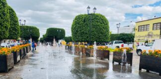 LA CIUDAD SE VISTE DE FLORES