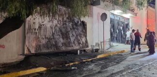 MUERE PERRITO CALCINADO TRAS INCENDIO EN LEÓN