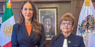 NUEVA FISCAL PARA GTO