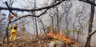 BRIGADA FORESTAL REFUERZA SU CAPACITACIÓN
