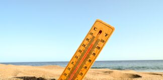 MÉXICO BAJO EL IMPACTO DE LA PRIMERA #OLADECALOR DEL AÑO