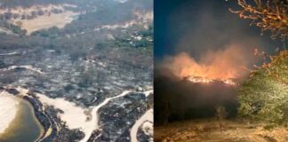 BOMBEROS DE LEÓN LUCHAN CONTRA INCENDIO EN SIERRA DE LOBOS
