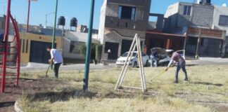 LEONESES PUEDEN CANJEAR MULTAS POR SERVICIO COMUNITARIO EN MIÉRCOLES CIUDADANOS