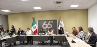RECHAZAN INICIATIVAS PARA DESPENALIZAR EL ABORTO EN GTO
