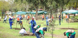 ARRANCA EN LEÓN CAMPAÑA DE REFORESTACIÓN