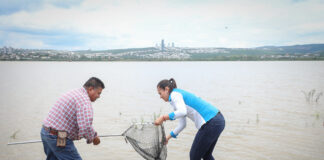 MÁS DE MIL PECES REGRESAN A EL PALOTE PARA IMPULSAR LA PESCA LOCAL
