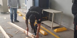 PRETENDÍAN BURLAR LA SEGURIDAD CON MADERA CARGADA DE MARIHUANA