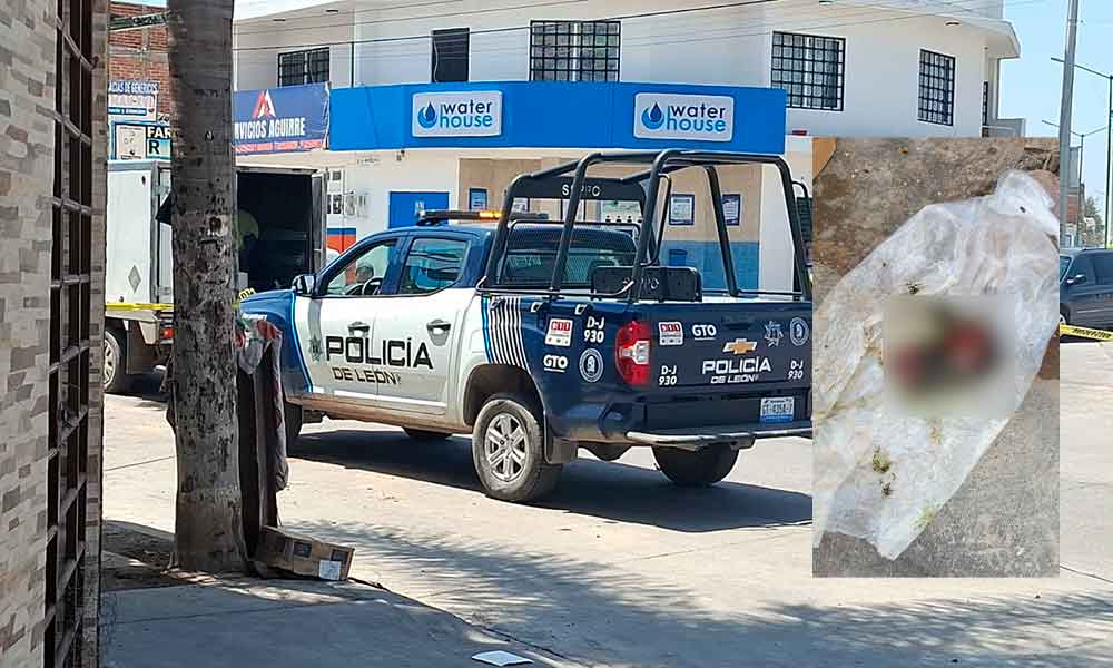 encuentran-feto-leon-las-joyas