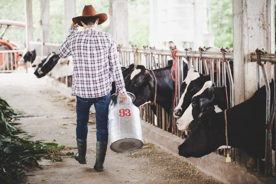 agriculture industry, farming, people and animal husbandry conce