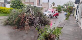 LLUVIAS PROVOCAN AFECTACIONES EN LEÓN