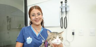 ABRE HOSPITAL DE MASCOTAS EN LEÓN: CONSULTAS DESDE 68