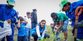 DAN VIDA A LEÓN CON MÁS DE 3 MIL ÁRBOLES EN LA SIERRA DE LOBOS