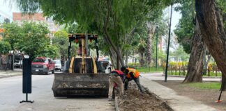 RENUEVAN BANQUETAS DEL PARQUE MANZANARES PARA CREAR UN LEÓN MÁS VERDE