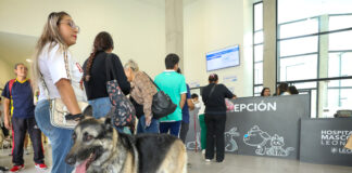 SUPERA EXPECTATIVAS HOSPITAL DE MASCOTAS LEÓN 450, SUMA MÁS DE 3 MIL ATENCIONES