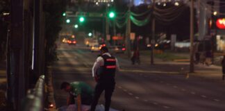 MUERE MUJER ATROPELLADA EN EL TORRES LANDA