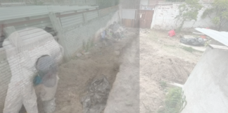 IDENTIFICAN 15 VÍCTIMAS EN FOSA FORRAJERA
