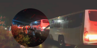 TRAGEDIA EN CARRETERA SALAMANCA–JUVENTINO ROSAS: CUATRO MUERTOS