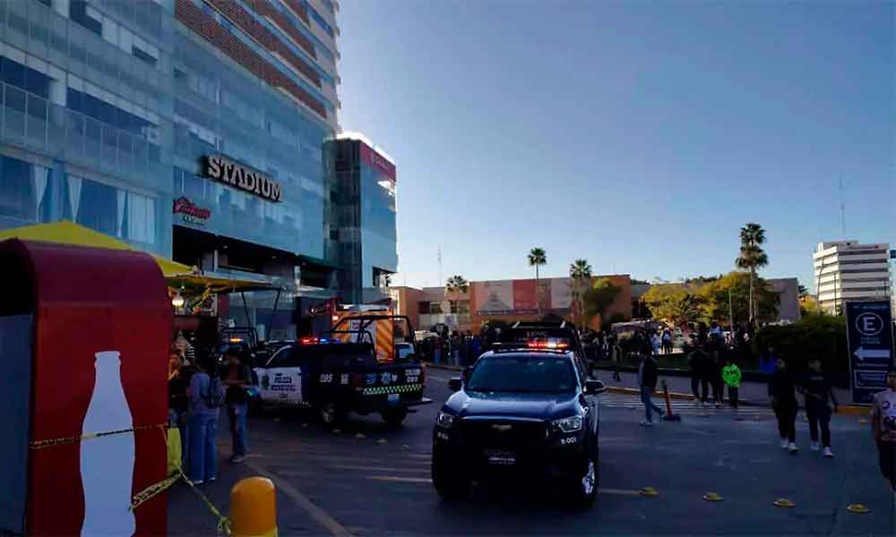 accidente-leon-muere-lucia-pisos-caida