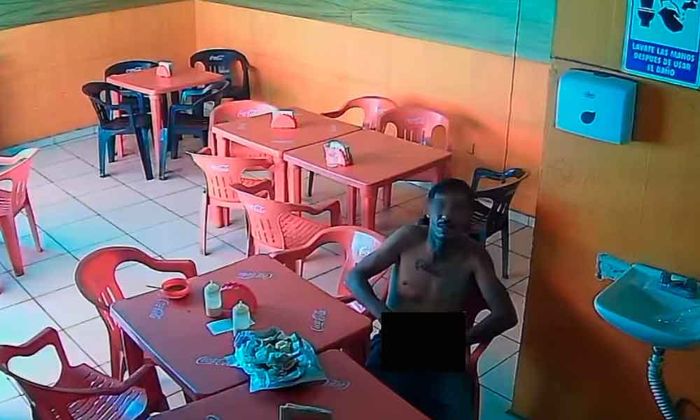 gato-enseñando-sus-miserias-leon
