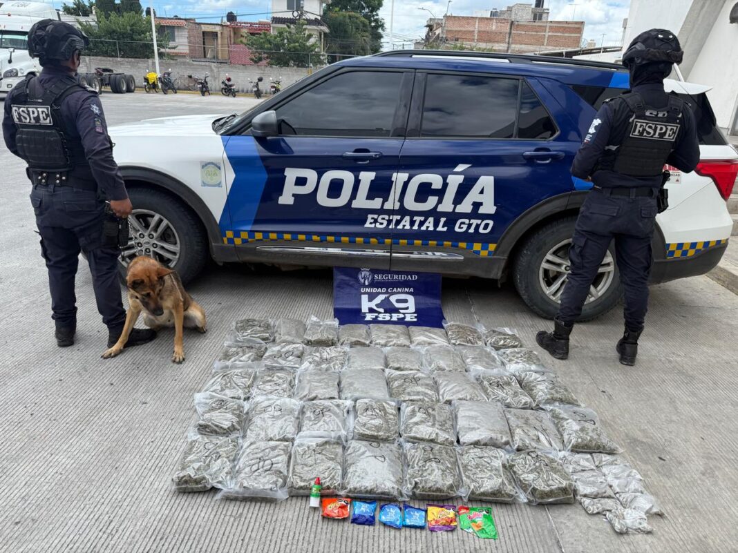 Aseguramiento-K9-León-00 (1)