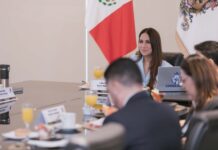 GTO EXIGE CERTIFICADO DE OBLIGACIONES ALIMENTARIAS PARA INGRESAR AL SERVICIO PÚBLICO