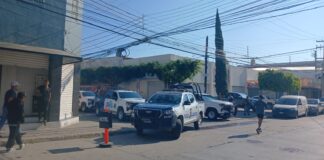 GOLPEAN A LADRONES EN ZONA PIEL