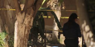 ASESINAN A UN JOVEN EN LA COLONIA CAÑADA DEL REAL