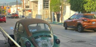BALEAN A HOMBRE EN JARDINES DE JEREZ