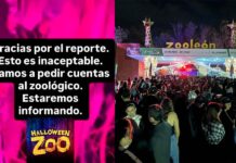 PROFEPA VA TRAS EL HALLOWEEN ZOO EN LEÓN