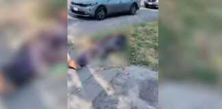 MUERE HOMBRE TRAS SER ATROPELLADO FRENTE A LA CENTRAL DE ABASTOS