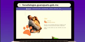 GUANAJUATO ABRE FOROS CIUDADANOS PARA FORTALECER POLÍTICAS DE BIENESTAR ANIMAL