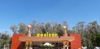 SIN ORDEN DE CIERRE, ZOOLEÓN SIGUE EN FUNCIONES