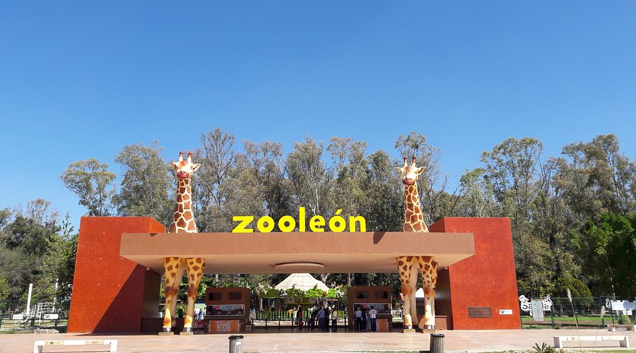 zooleon-un-lugar-increible (1)