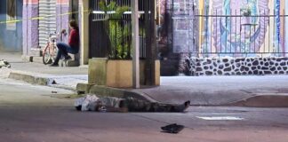ASESINAN A “EL KETUTIN” EN SAN JOSÉ DE CEMENTOS