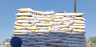FSPE FRUSTRA INTENTO DE ROBO EN LA CARRETERA CELAYA–SALVATIERRA