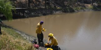 GUANAJUATO REFUERZA PREVENCIÓN VACACIONAL