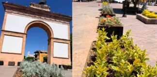 LEÓN SE LLENA DE COLOR: COLOCAN MÁS DE MIL PLANTAS EN EL CENTRO