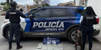 ASEGURAN MÁS DE 13 MIL DOSIS DE PRESUNTA MARIHUANA EN IRAPUATO Y LEÓN