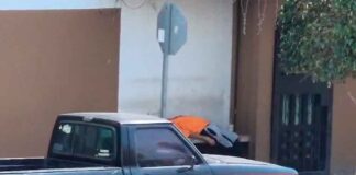 ASESINAN A UN HOMBRE EN LAS ARBOLEDAS