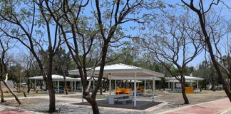 AMPLIAN ESPACIOS DE CONVIVENCIA EN PARQUE DEL ÁRBOL