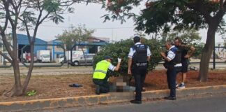 MUERE MOTOCICLISTA TRAS ACCIDENTE EN EL LIBRAMIENTO