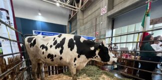 EXPO LÁC ABRE SUS PUERTAS Y DESTACA LA POTENCIA AGROALIMENTARIA DE GUANAJUATO
