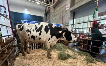 EXPO LÁC ABRE SUS PUERTAS Y DESTACA LA POTENCIA AGROALIMENTARIA DE GUANAJUATO