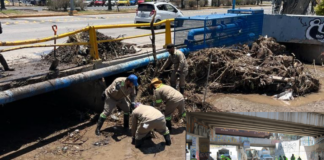 SAPAL RETIRA MÁS DE 60 MIL TONELADAS DE BASURA EN DOS AÑOS